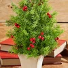 Clearance Decorator's Warehouse 14" Cedar Berry Tree