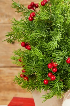 Clearance Decorator's Warehouse 14" Cedar Berry Tree