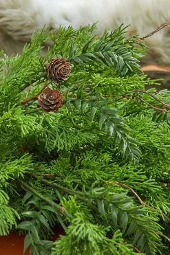 Clearance Decorator's Warehouse 32” Christmas Cedar/Hemlock Swag