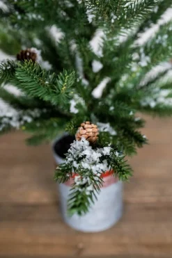 Online Decorator's Warehouse 24” Farmhouse Potted Snowy Pine Tree