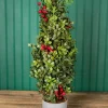 Sale Decorator's Warehouse 20” Holiday Potted Boxwood Tree W/ Berry