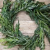 Discount Decorator's Warehouse 24” Iced Garden Norfolk Pine Wreath