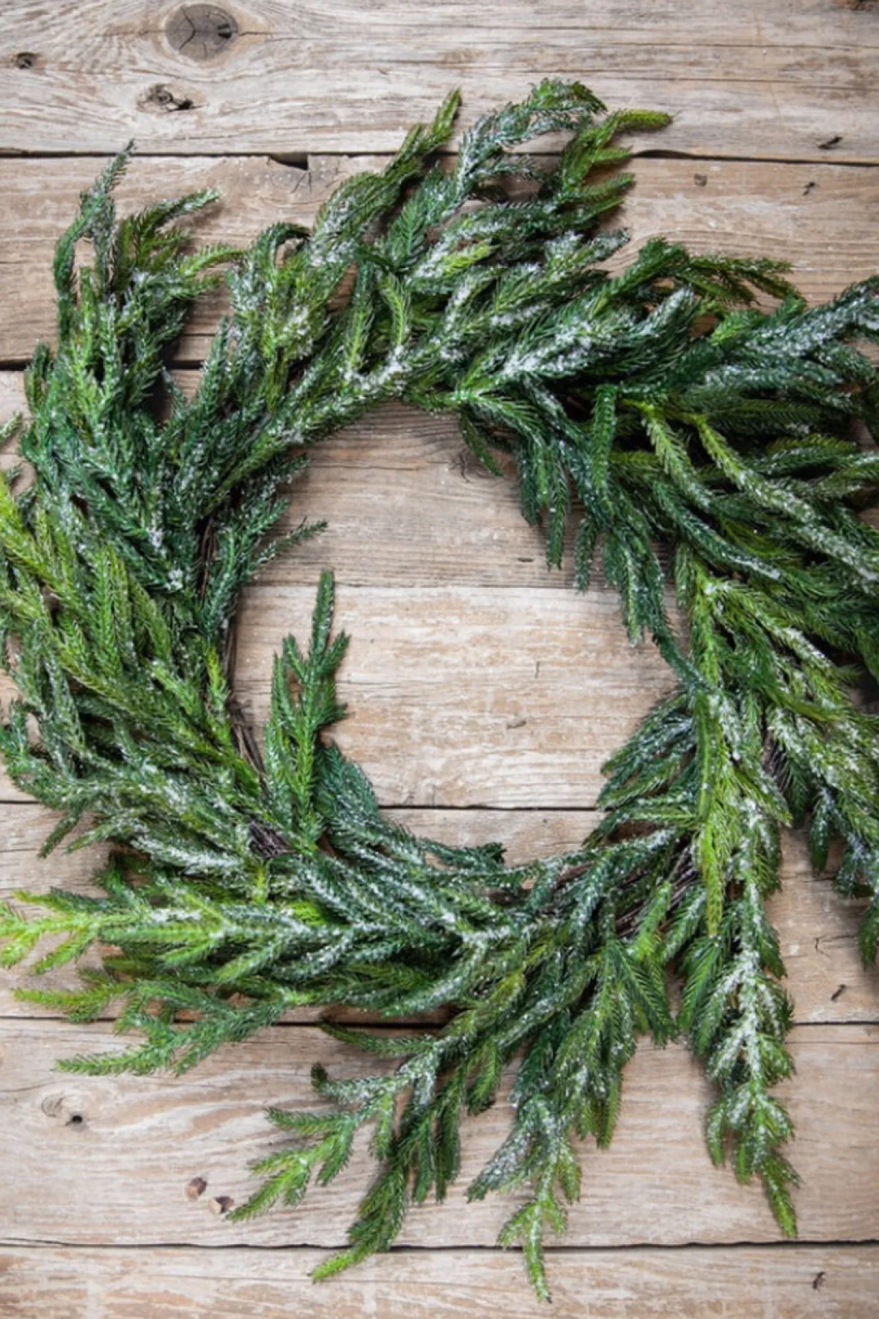 Discount Decorator's Warehouse 24” Iced Garden Norfolk Pine Wreath