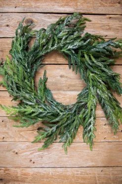 Discount Decorator's Warehouse 24” Iced Garden Norfolk Pine Wreath