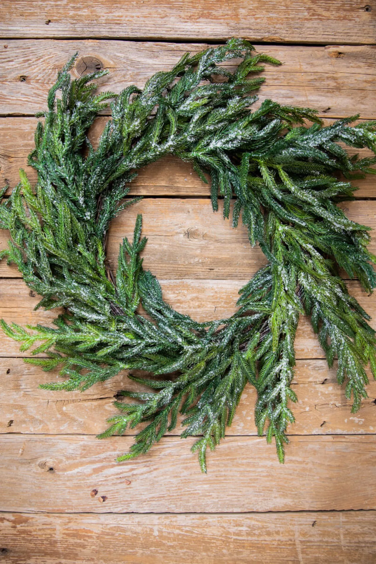 Discount Decorator's Warehouse 24” Iced Garden Norfolk Pine Wreath