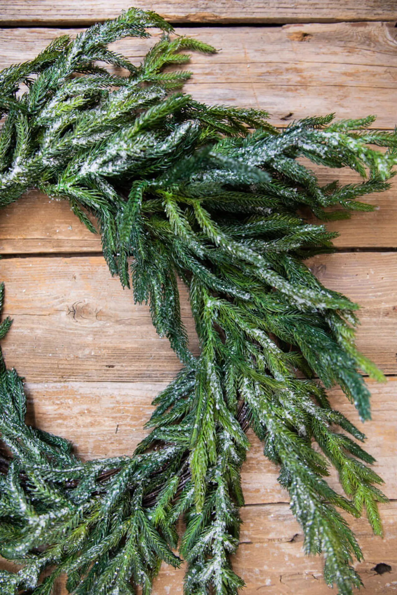 Discount Decorator's Warehouse 24” Iced Garden Norfolk Pine Wreath