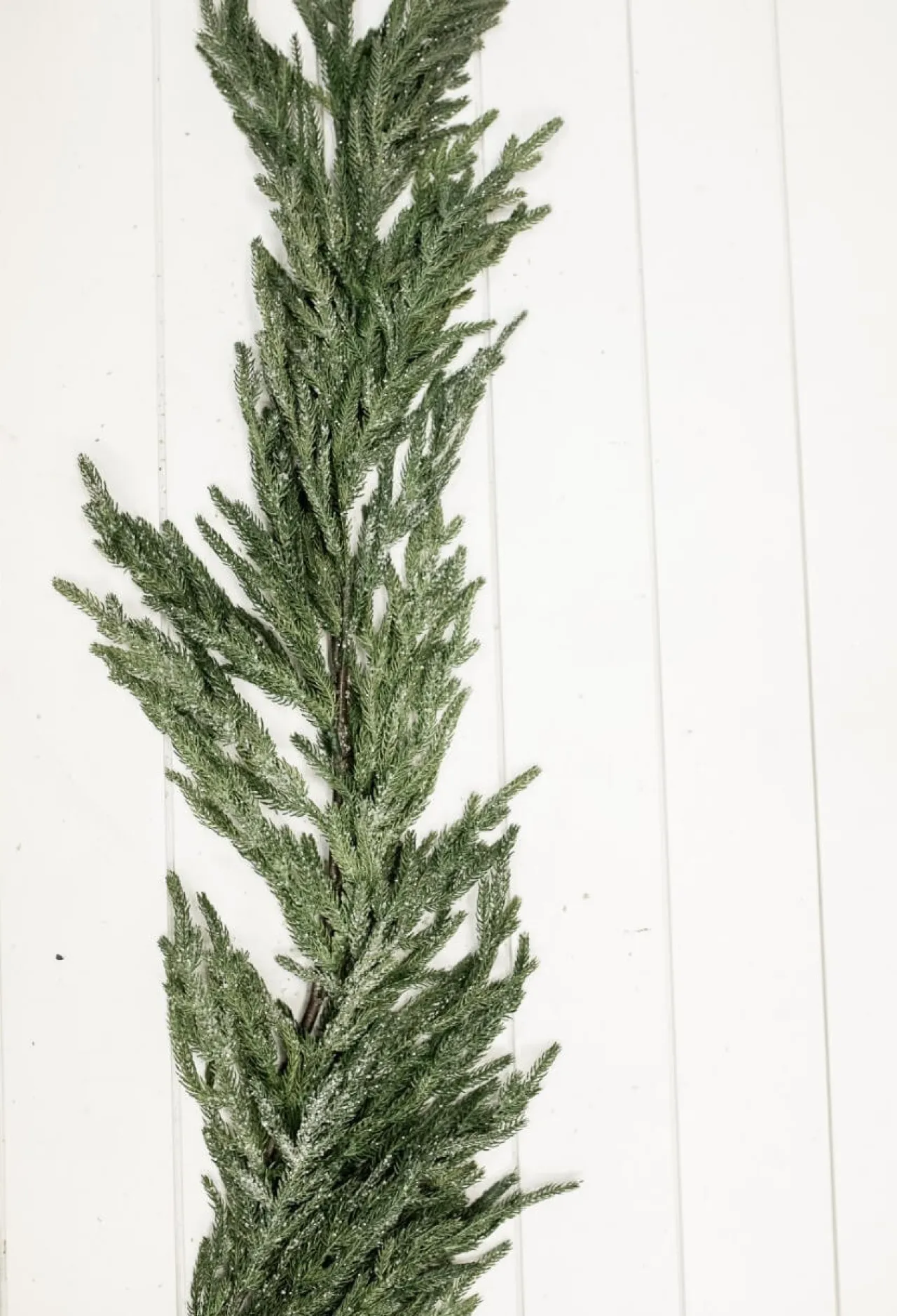 New Decorator's Warehouse 48” Iced Garden Norfolk Pine Garland