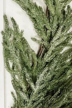 New Decorator's Warehouse 48” Iced Garden Norfolk Pine Garland