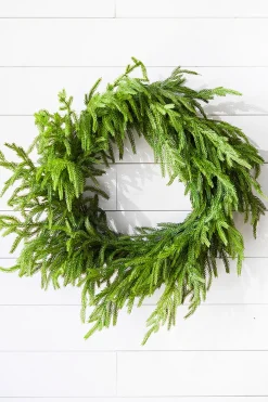 New Decorator's Warehouse 24” Just Cut Norfolk Pine Wreath