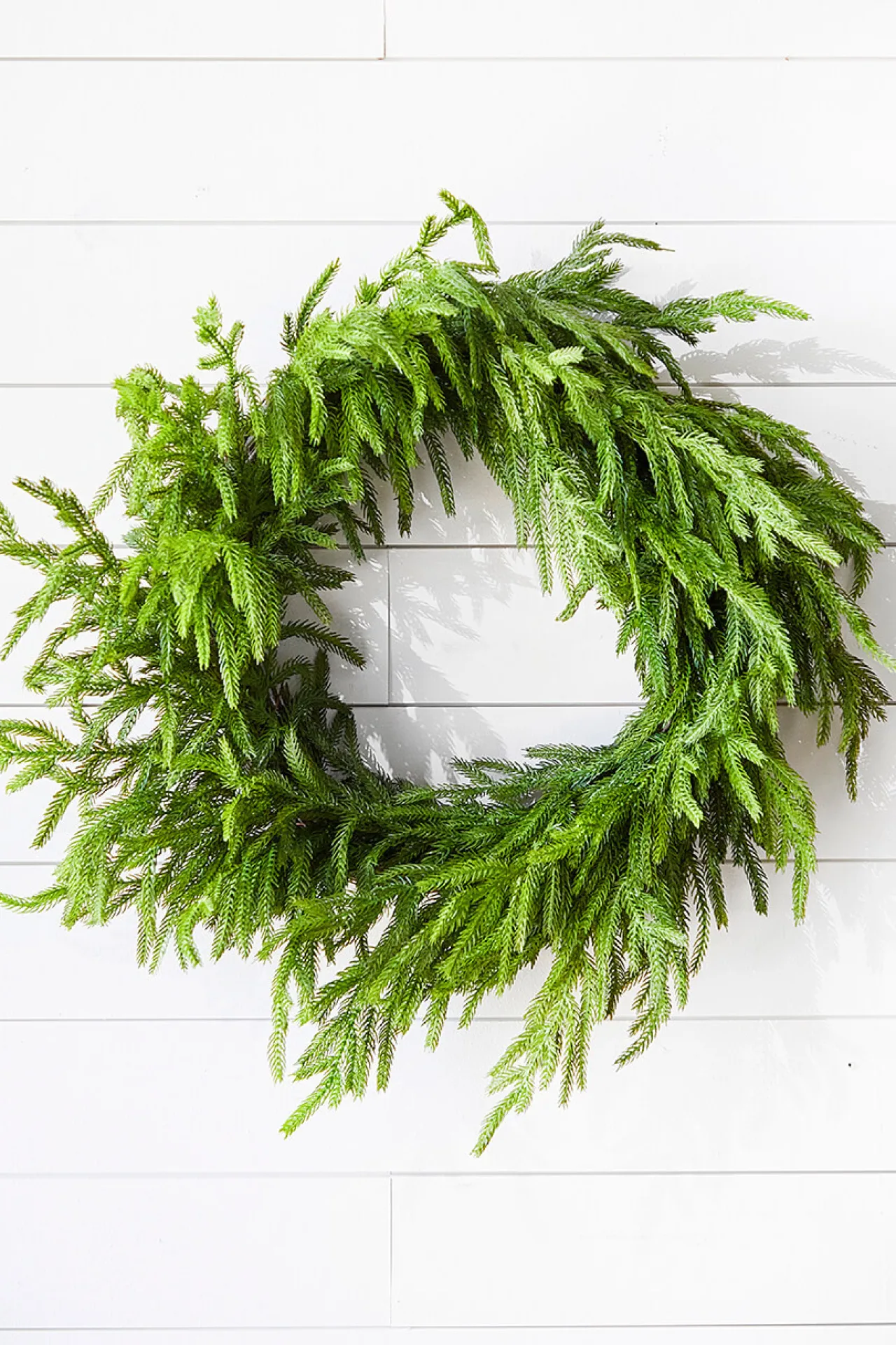 New Decorator's Warehouse 24” Just Cut Norfolk Pine Wreath
