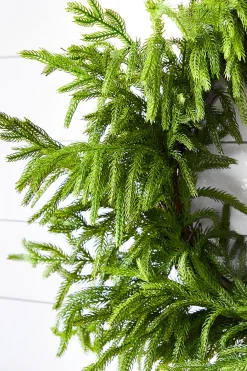 New Decorator's Warehouse 24” Just Cut Norfolk Pine Wreath