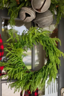 New Decorator's Warehouse 24” Just Cut Norfolk Pine Wreath