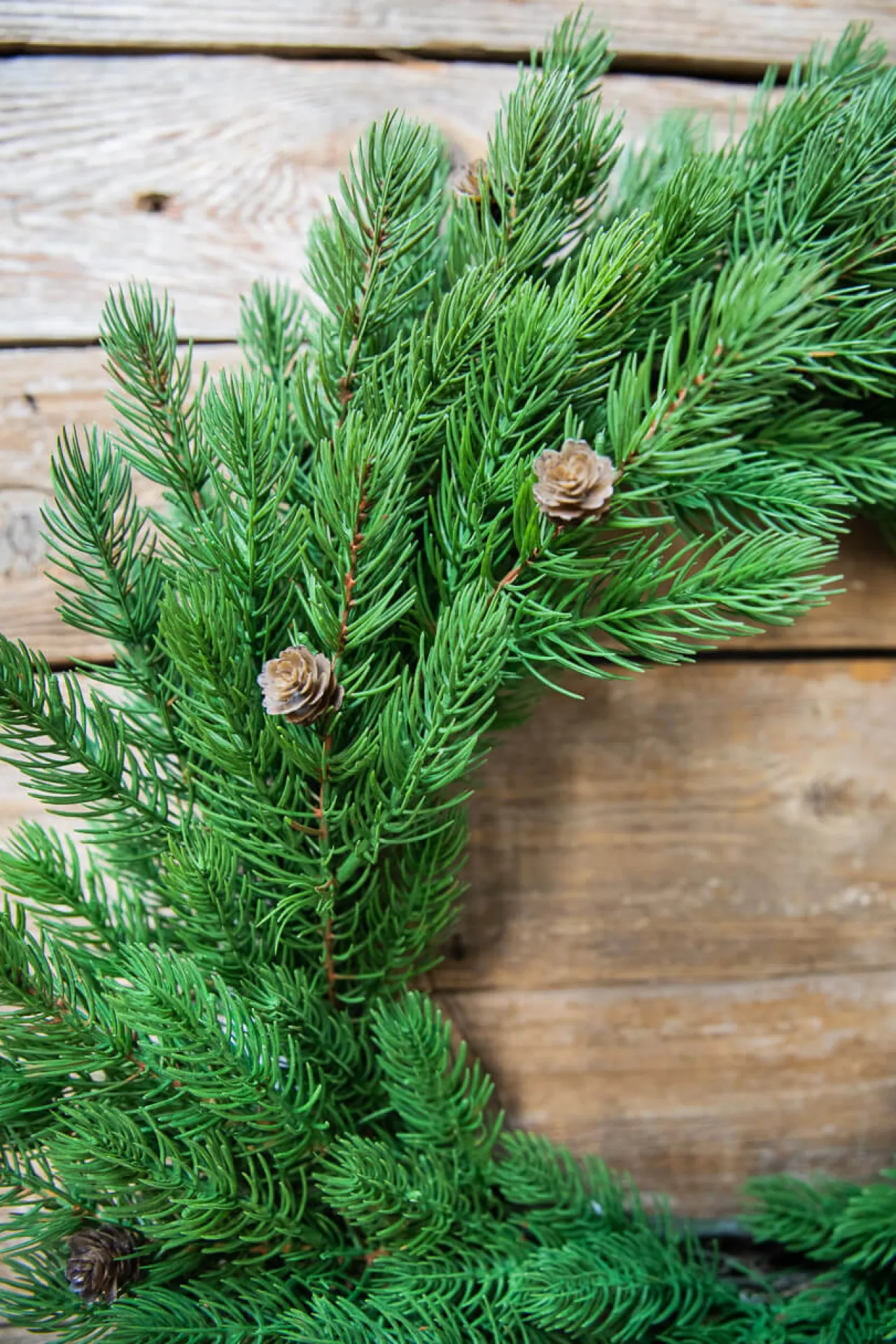 Best Decorator's Warehouse 24” Just Cut Spruce Wreath