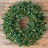 Clearance Decorator's Warehouse 36" LED Belgium (Warm White)