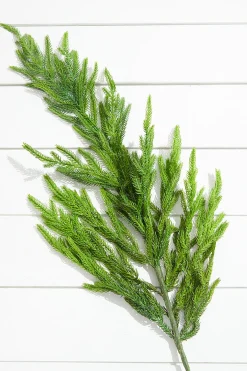 Hot Decorator's Warehouse 38” Natural Touch Norfolk Pine Christmas Spray