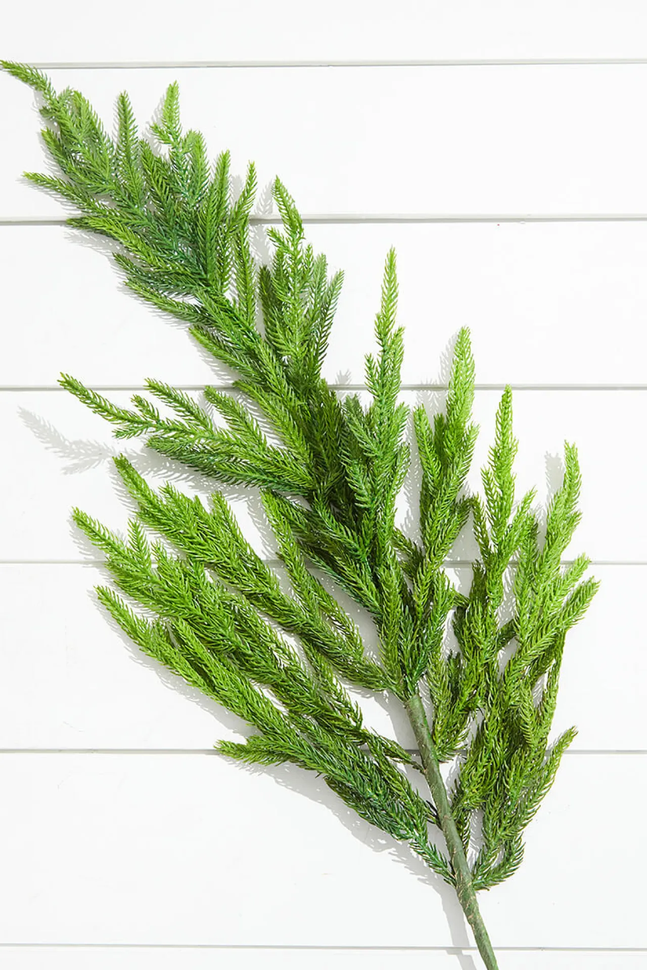 Hot Decorator's Warehouse 38” Natural Touch Norfolk Pine Christmas Spray