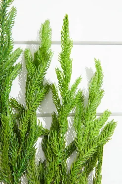 Hot Decorator's Warehouse 38” Natural Touch Norfolk Pine Christmas Spray