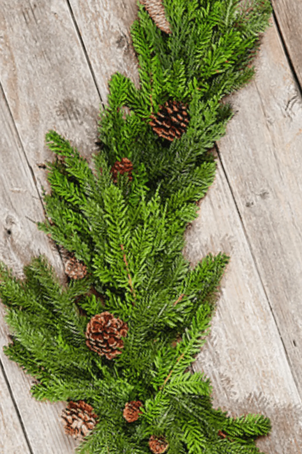 Discount Decorator's Warehouse 60” Noble Cedar Cone Tablepiece