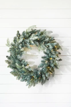 Best Decorator's Warehouse 22" Park Hill Frosted Blue Spruce LED Wreath
