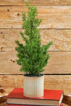 Clearance Decorator's Warehouse 18" Plastic Cypress Tree In Tin Pot