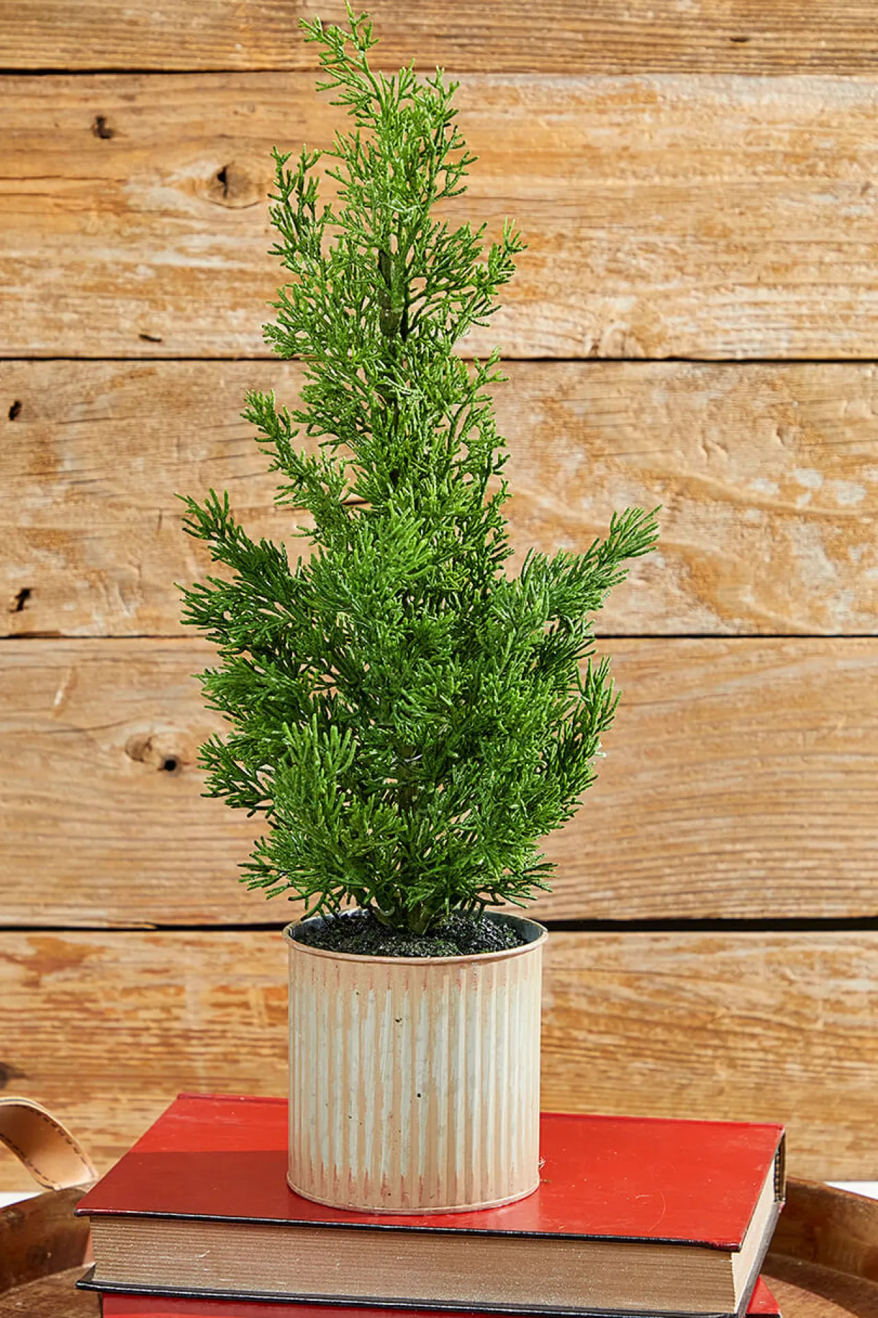 Clearance Decorator's Warehouse 18" Plastic Cypress Tree In Tin Pot
