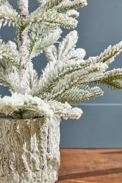 Hot Decorator's Warehouse 18" Potted Noble Fir Tree With Snow