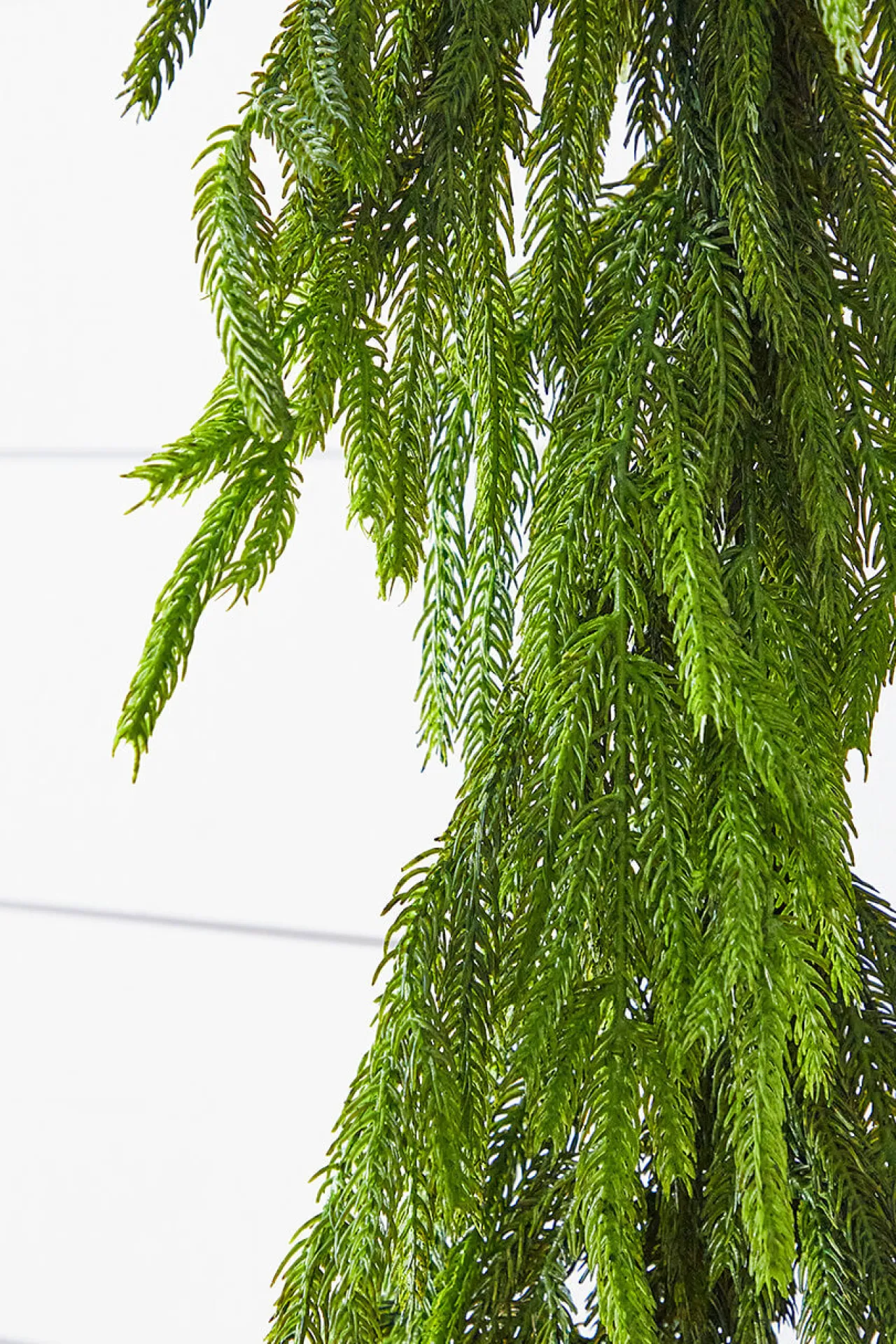 Online Decorator's Warehouse 72” Real Touch Norfolk Pine Garland