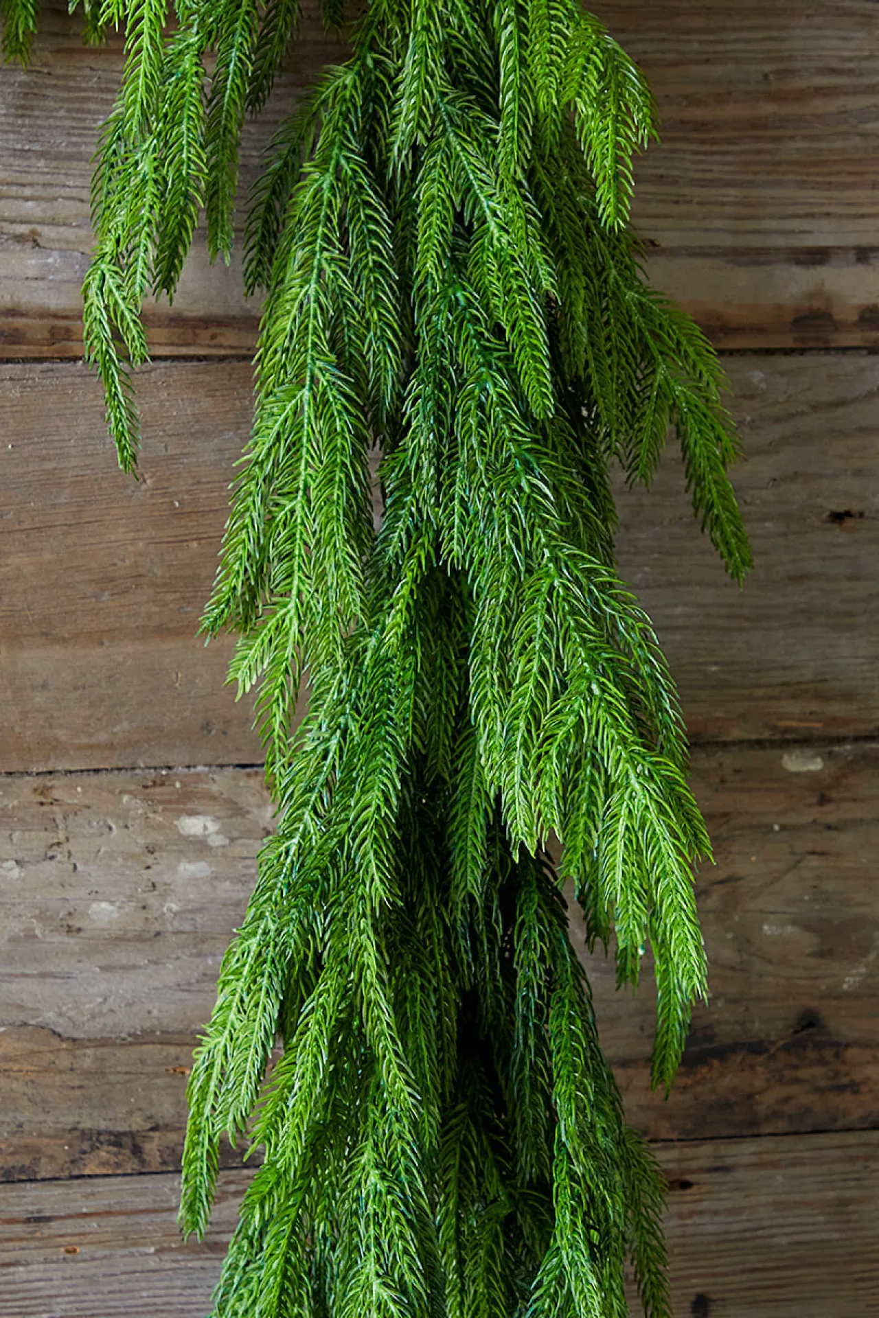 Online Decorator's Warehouse 72” Real Touch Norfolk Pine Garland