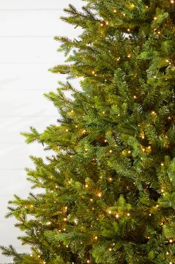 Clearance Decorator's Warehouse 10' Southern Fir With 3000 3mm Lights