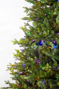 Clearance Decorator's Warehouse 10' Southern Fir With 3000 3mm Lights