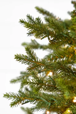 Clearance Decorator's Warehouse 10' Southern Fir With 3000 3mm Lights