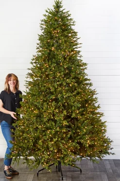 Clearance Decorator's Warehouse 10' Southern Fir With 3000 3mm Lights