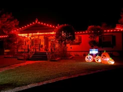 Online Decorator's Warehouse C9 Wonderful LED SMD Bulb (25 Bulbs/bag) - Faceted, Orange