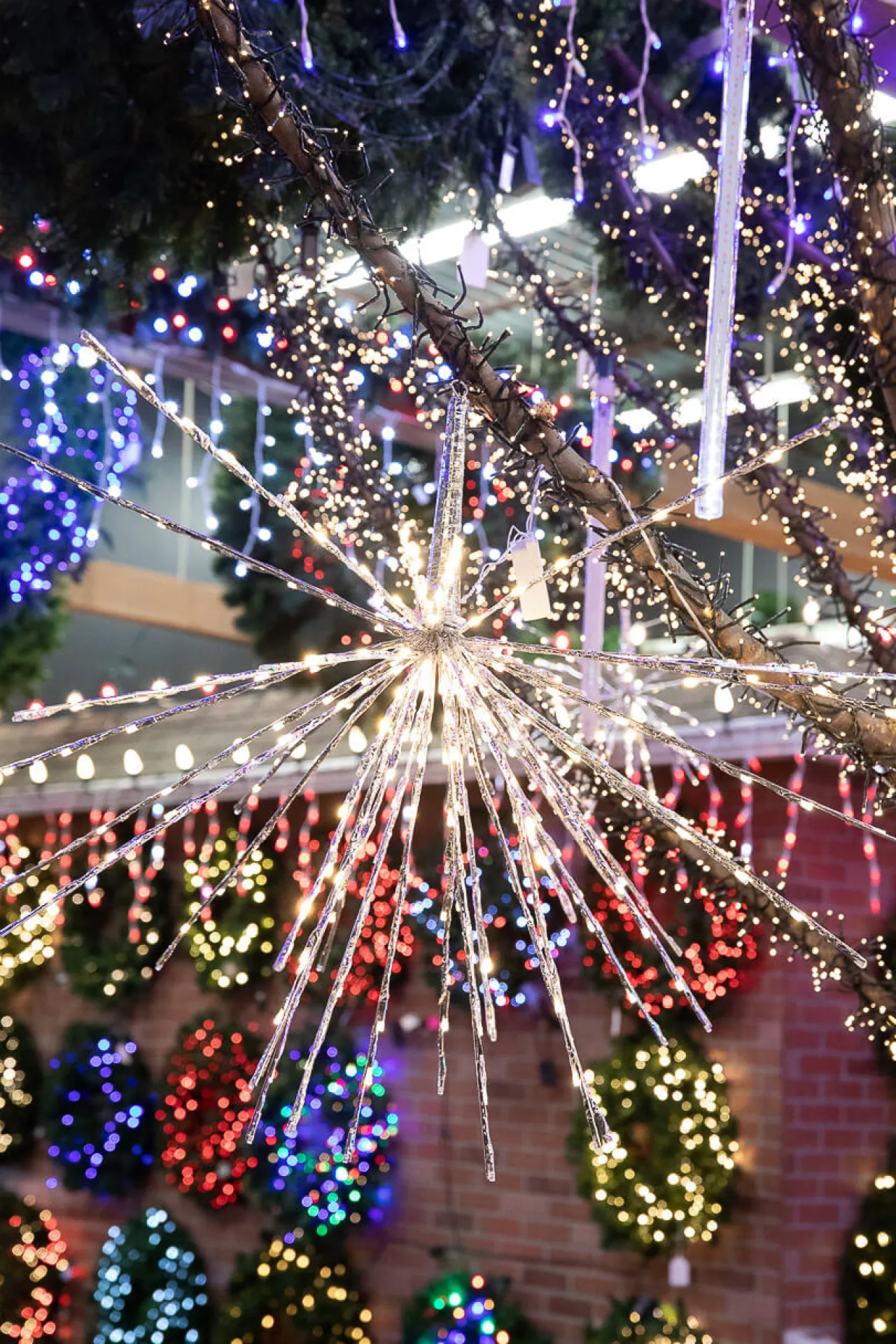 Outlet Decorator's Warehouse LED Umbrella Display - 180L